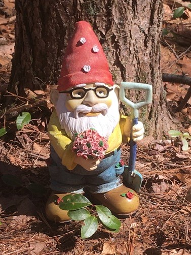red hatted gnome