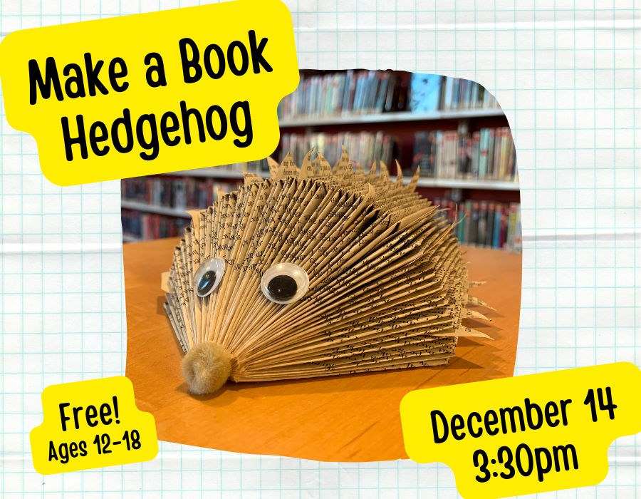 Book hedgehog