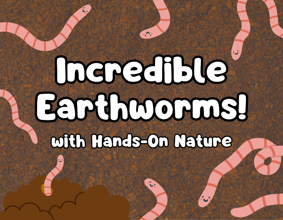 "Incredible Earthworms with Hands-On Nature"