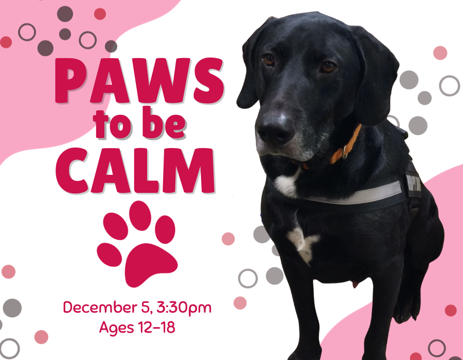 Black Lab on pink and white background with large pink text that reads "paws to be calm" above a pawprint