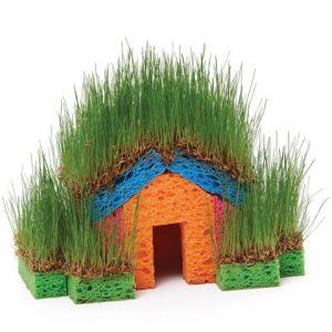 little grass house