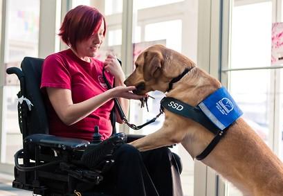 person in wheelchair with dog