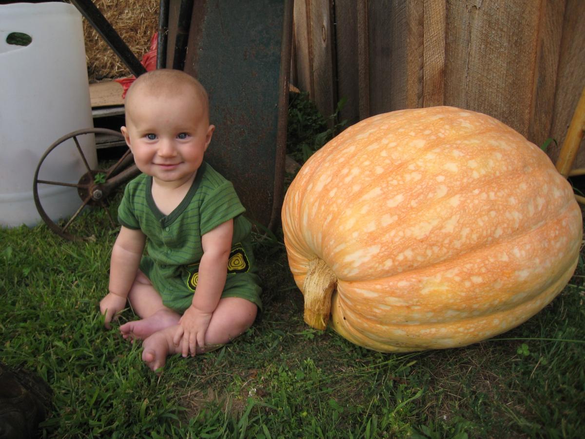 Fred and pumpkin