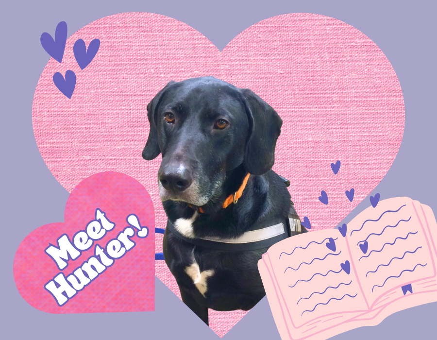 image shows black lab, Hunter, in a pink heart, with the phrase "Meet Hunter!" in another heart. There is also an image of an open book with hearts coming out of it.