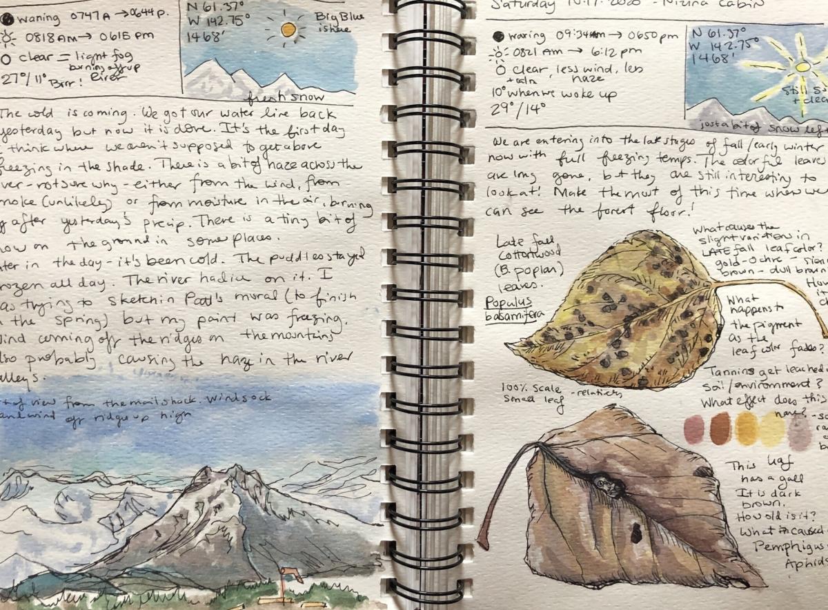 two-page spread of nature journal showing leaf and mountain drawings